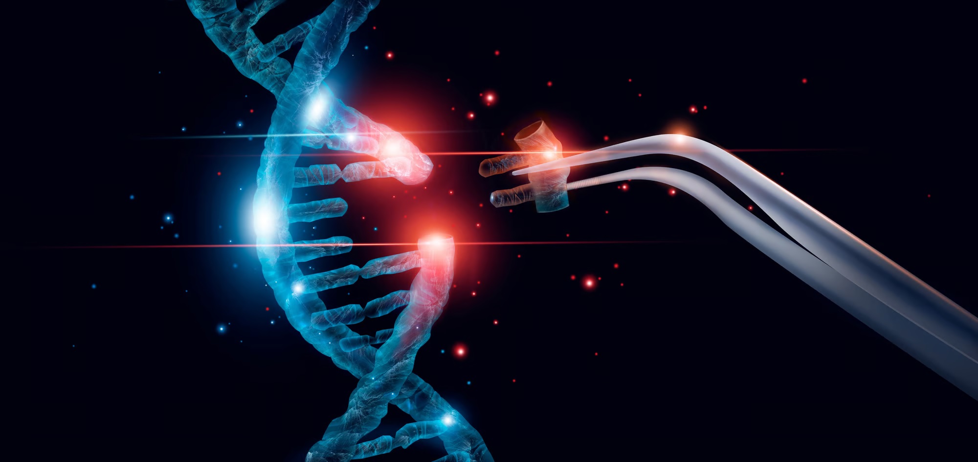 Breakthrough in CRISPR Gene Editing Offers Hope for Treating Genetic Diseases